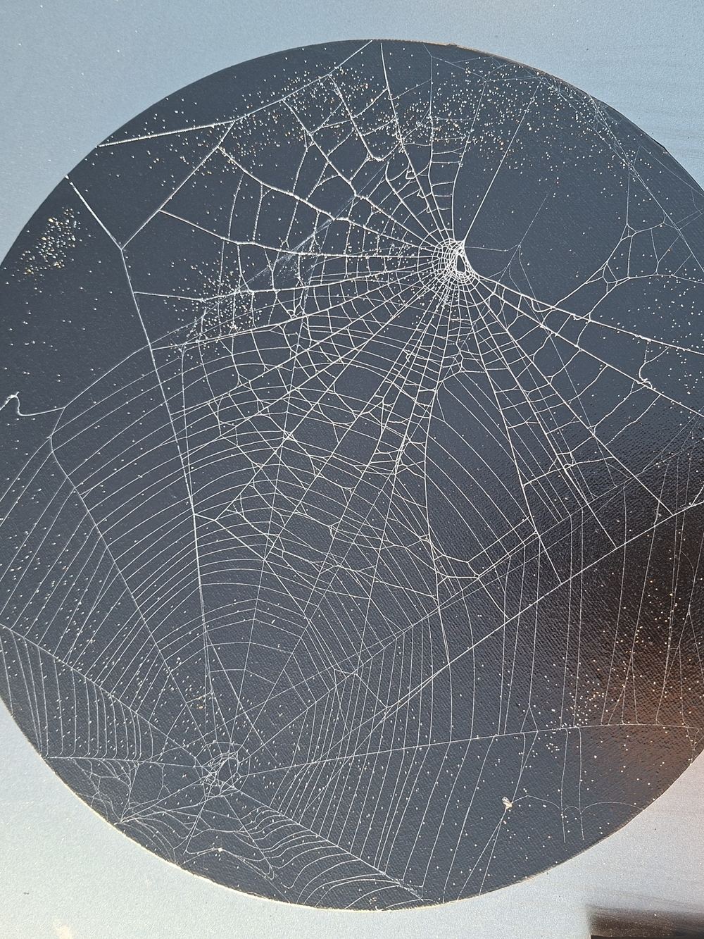 Hand Crafted Black and White Spider Web Circle Wall Art